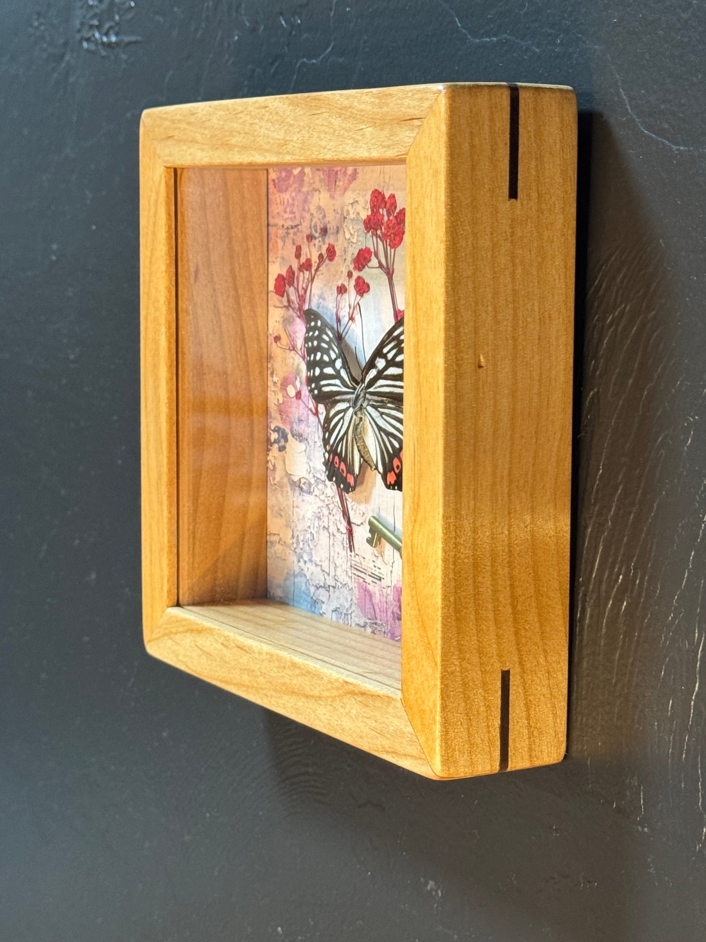 Butterfly Shadow Box - Real Preserved Specimens in Handmade Cherry Wood Frame