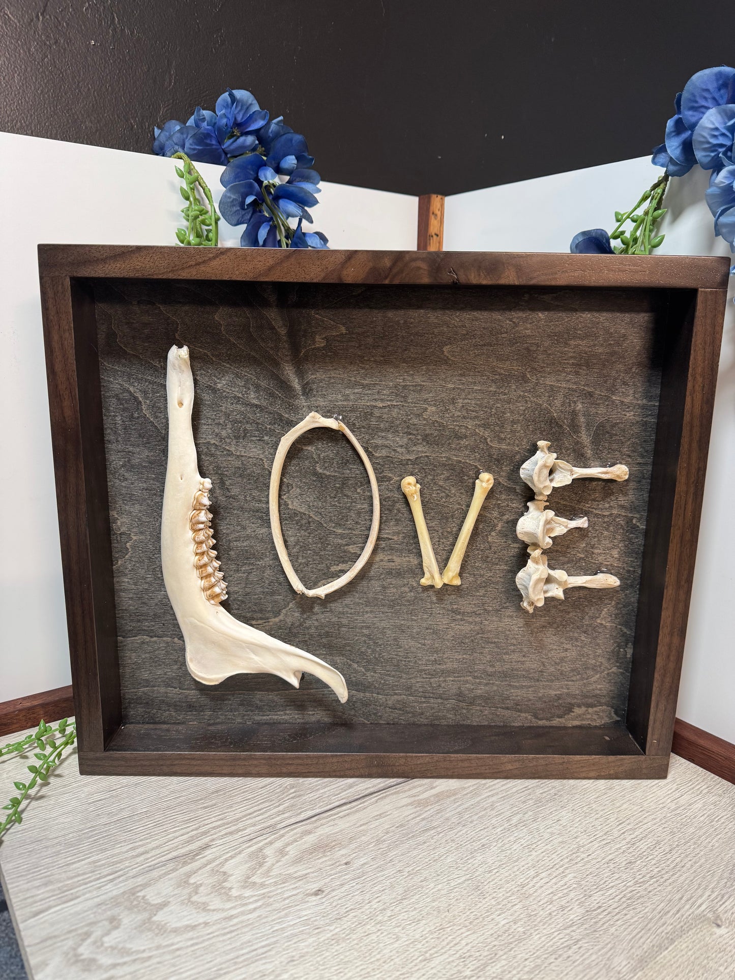 Bone Love Framed Wall Art | Handcrafted Oddity Decor