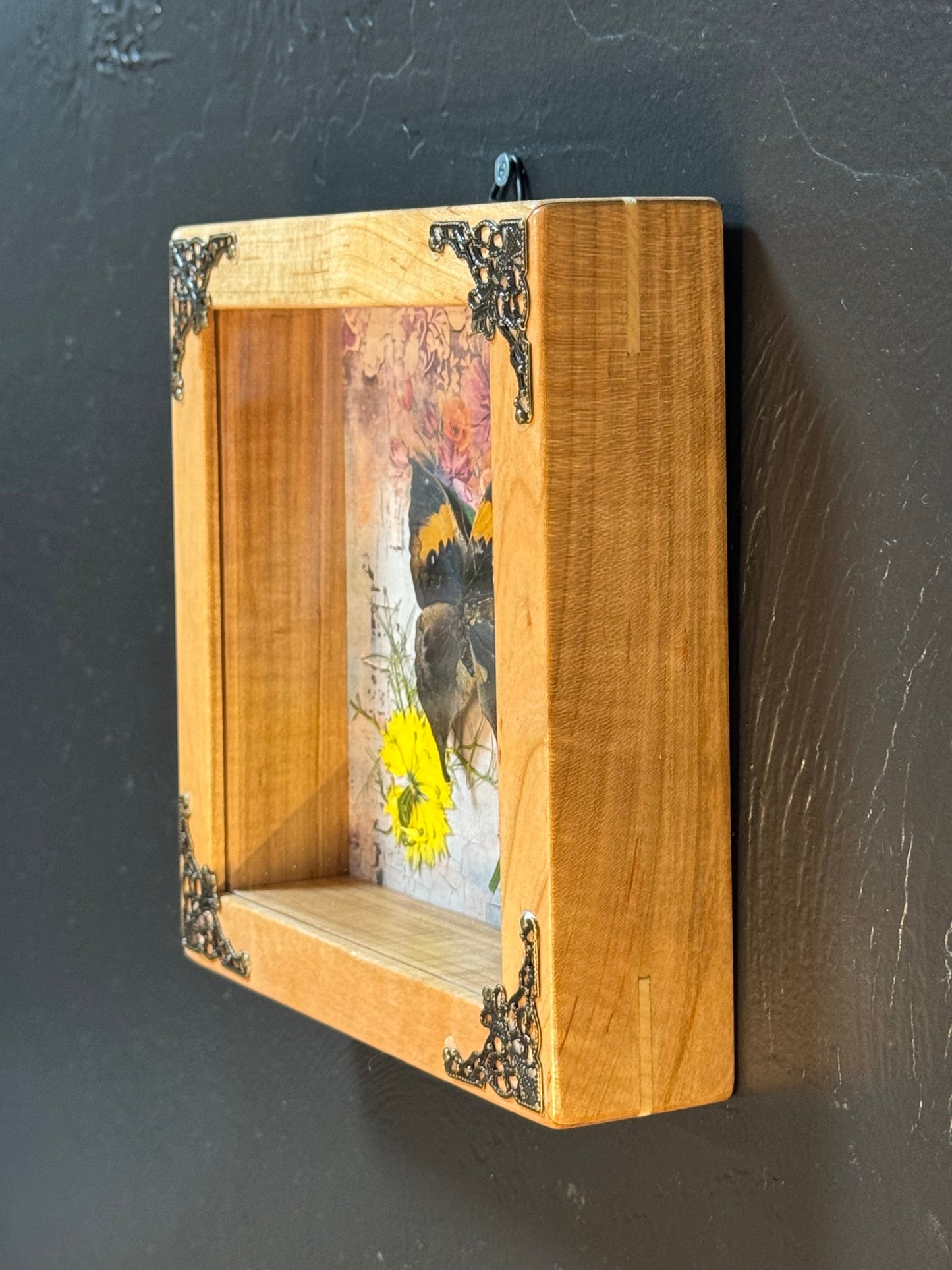 Butterfly Shadow Box - Real Preserved Specimens in Handmade Cherry Wood Frame