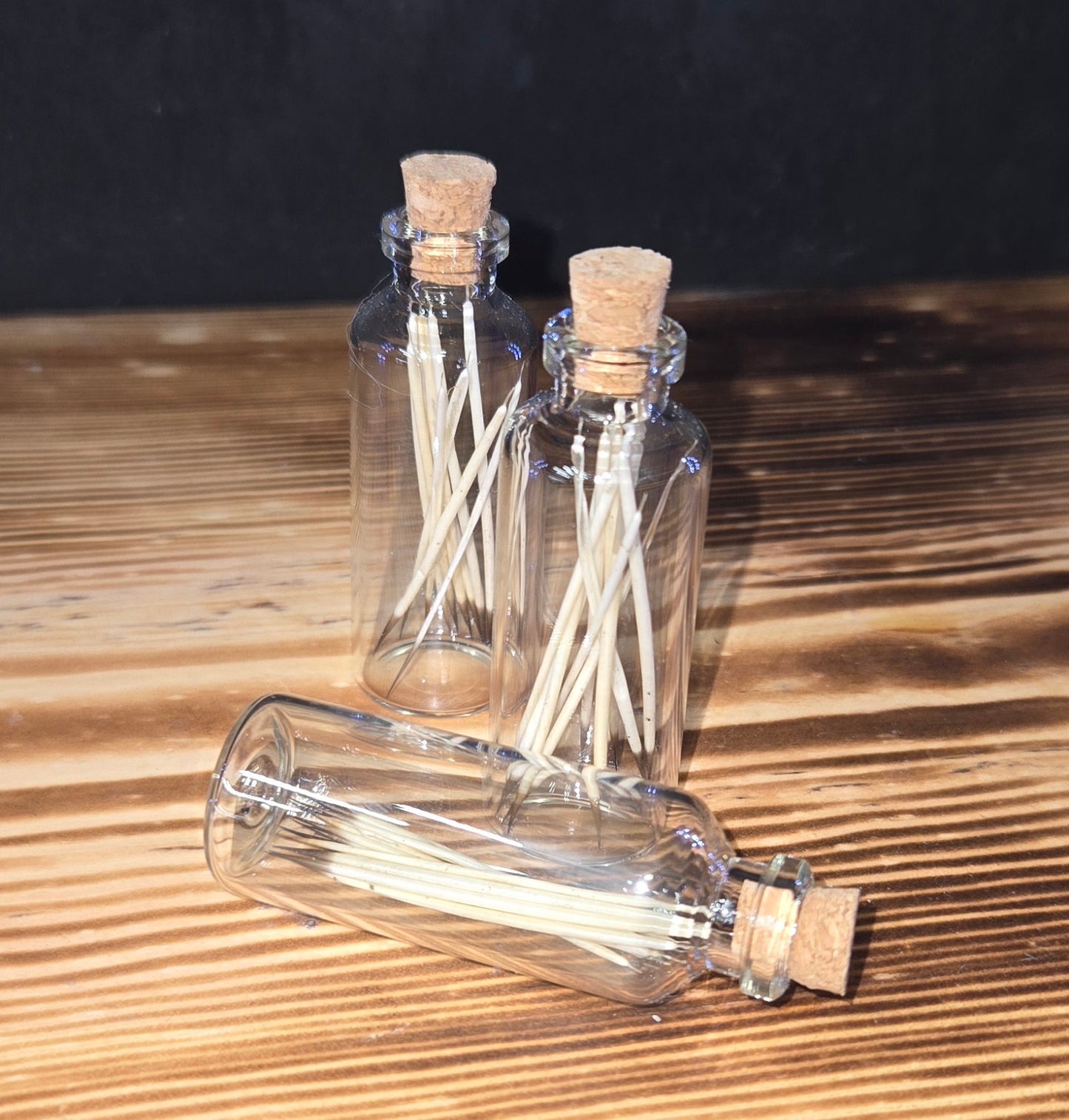 Porcupine Quills - Real Natural Specimens | Oddity Craft Supply & Decor
