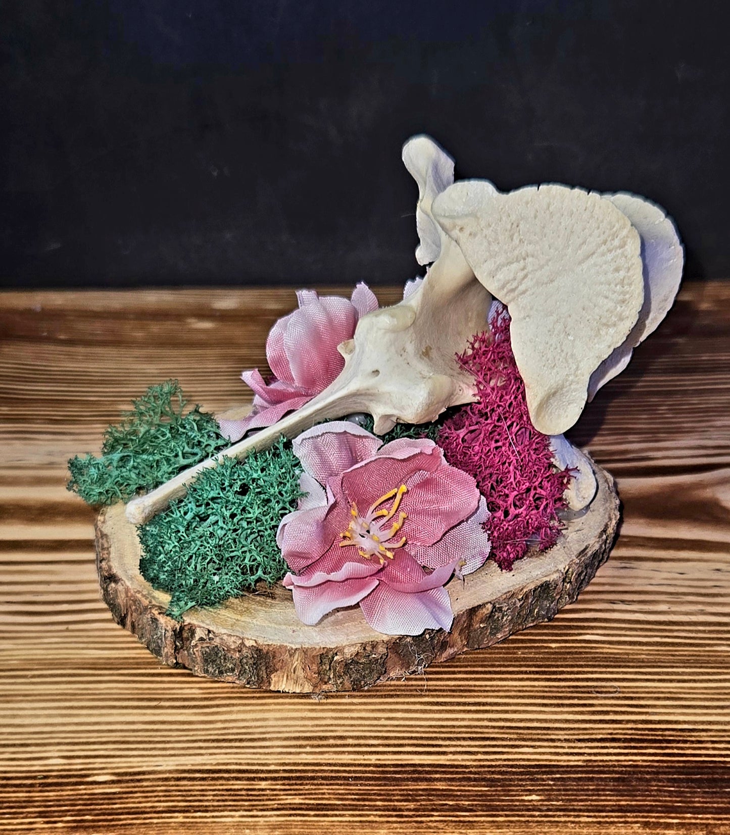 Small Bone Art - Cherry Blossom | Handmade Oddity Wall Art Nature Decor