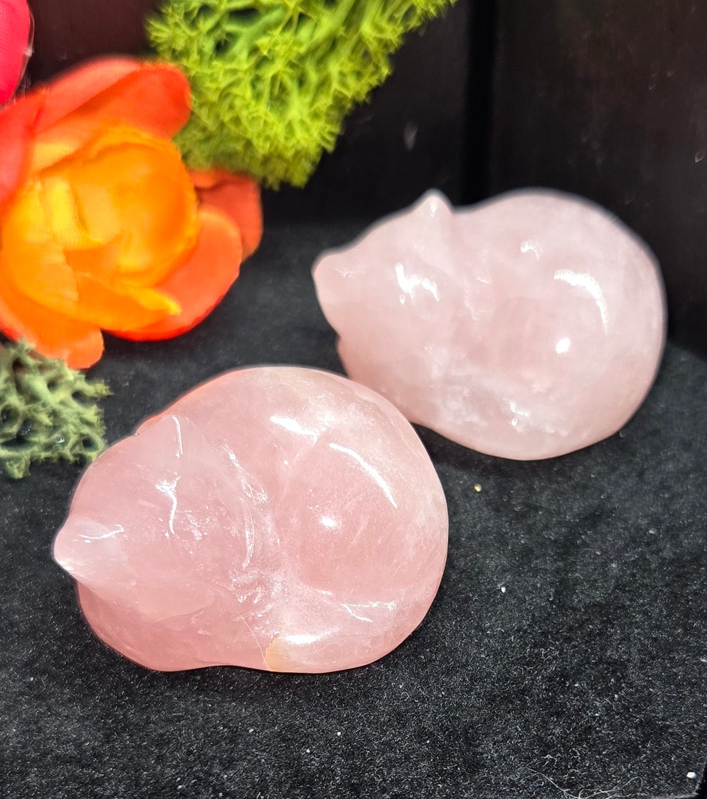 Cat Carved Crystals - Natural Stone Animal Carvings | Unique Crystal Figurines