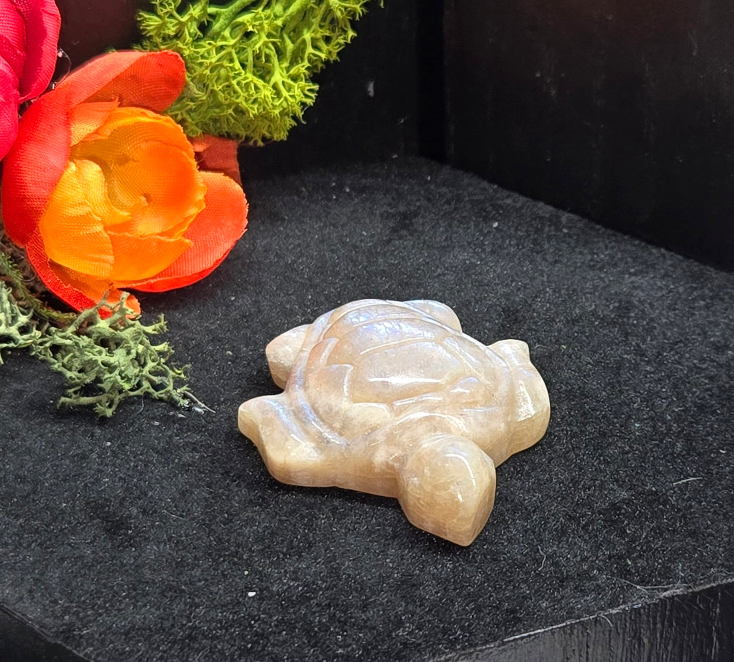 Moonstone sea turtle - Pocket Crystal and Gift Accent