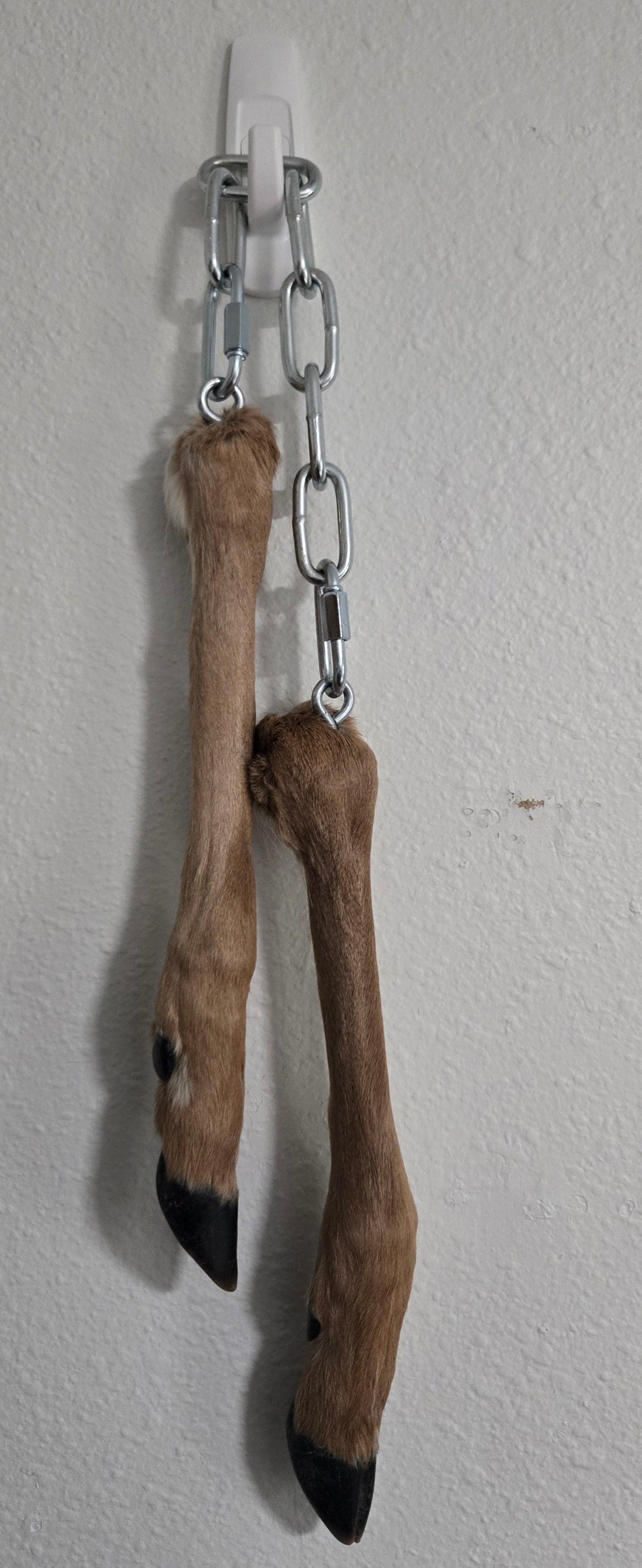 Buck Chucks small
