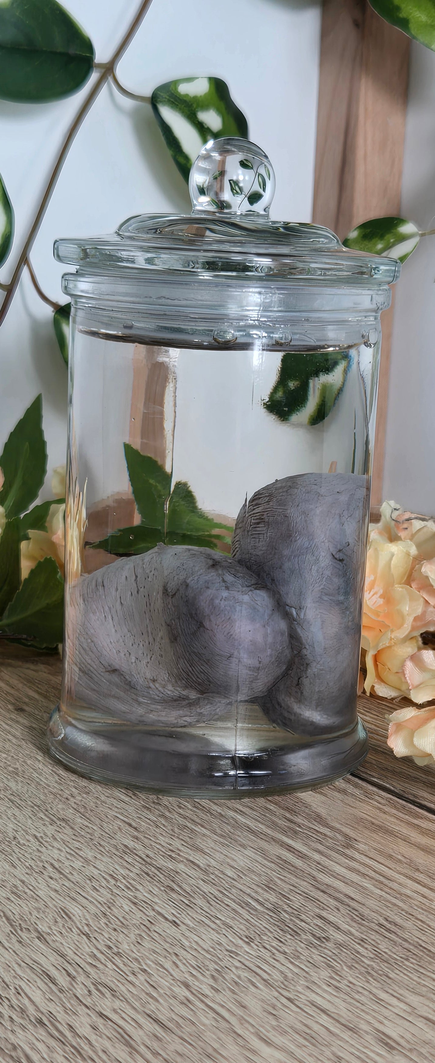 Deer kidneys