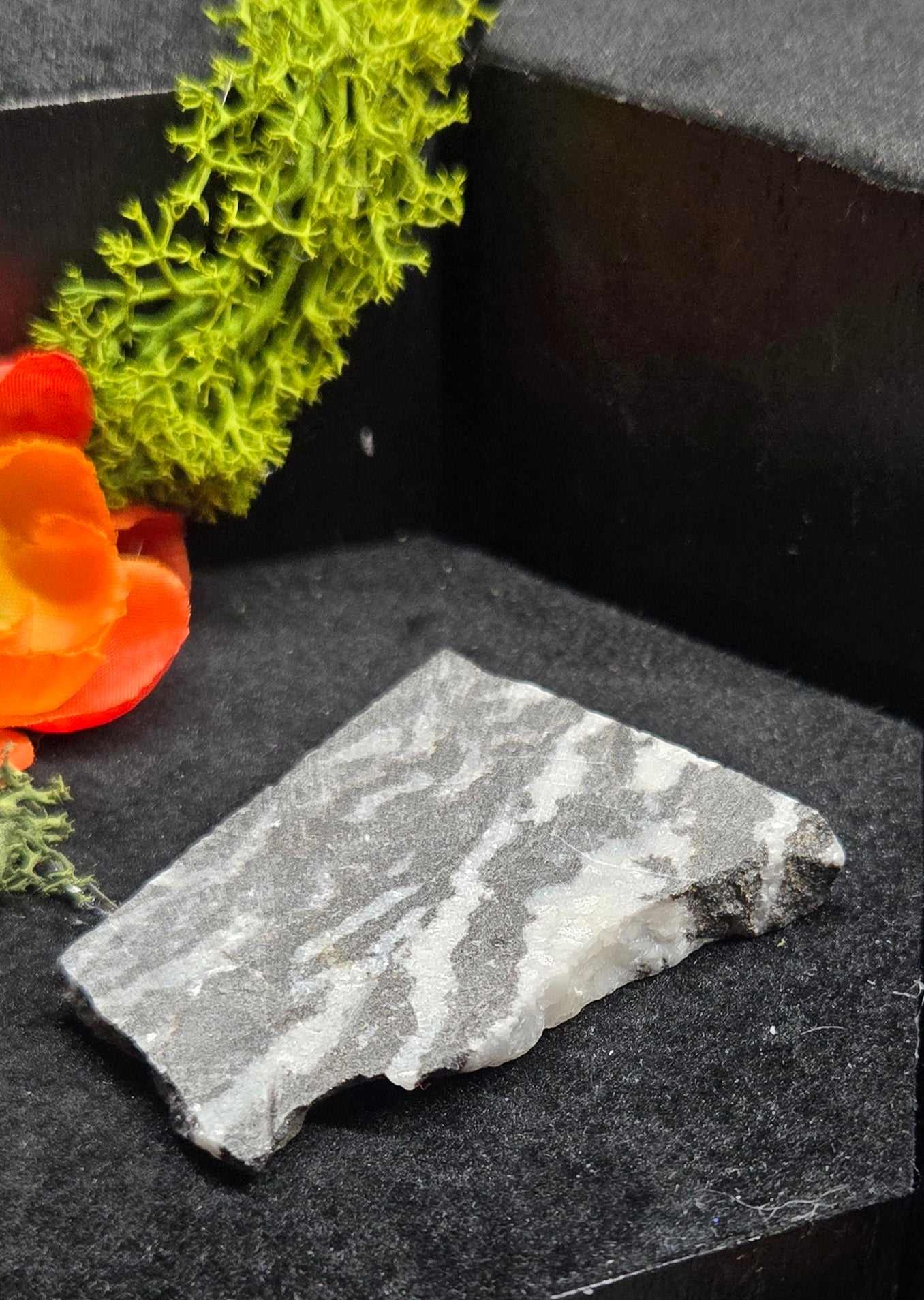 Zebra Stone Crystal - Natural Striped Jasper | Grounding & Motivation Energy