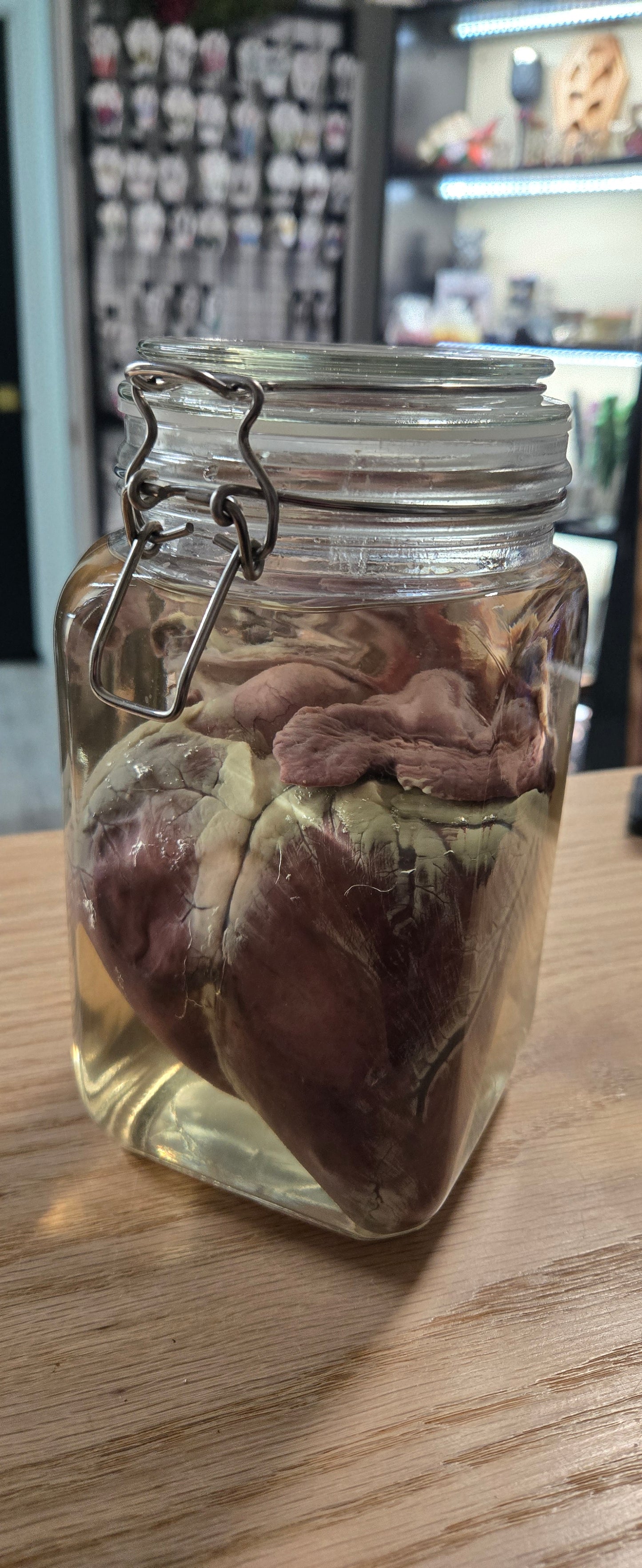 Deer Heart Wet Specimen in Glass Jar | Anatomical Oddity Curiosity Display