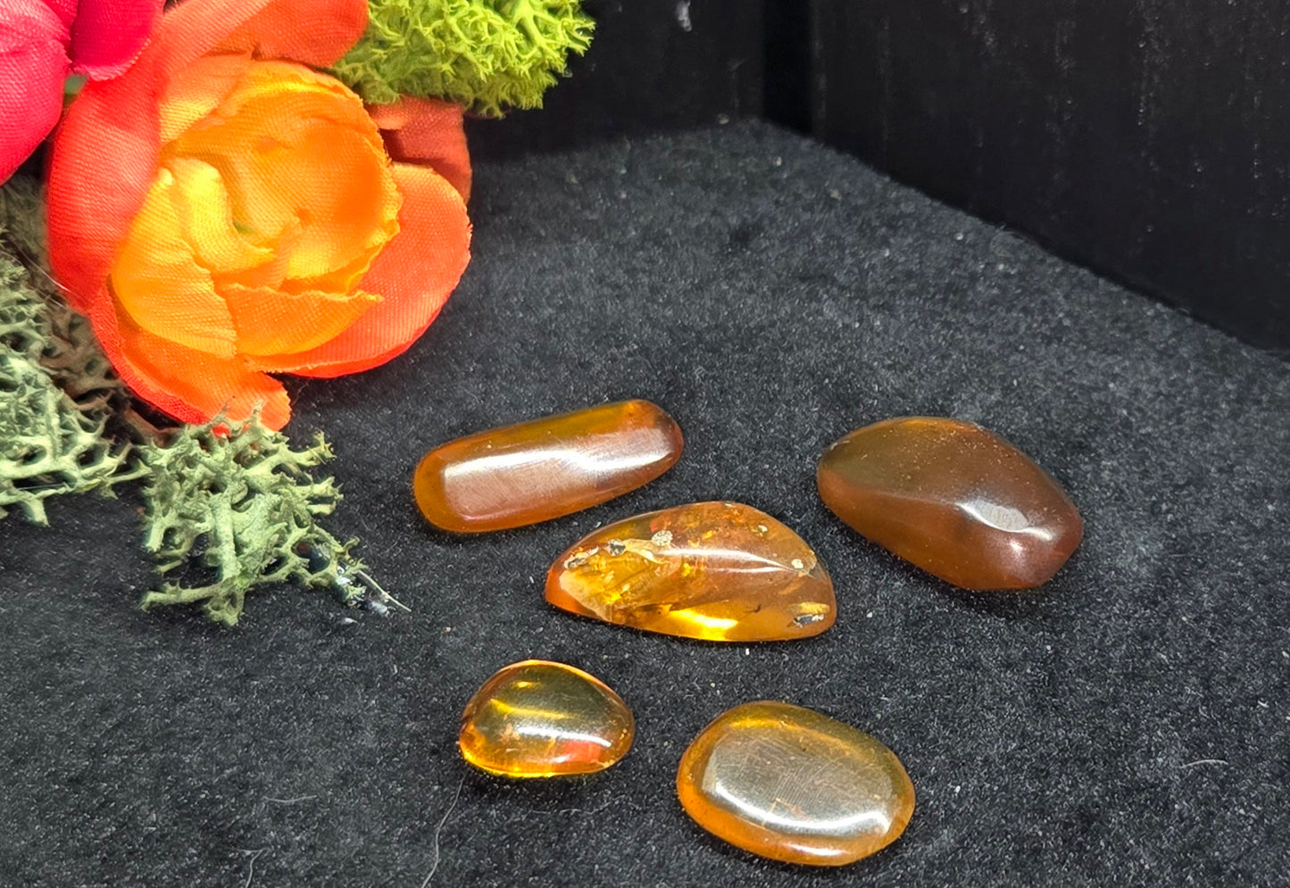 Amber - Natural Fossilized Tree Resin | Organic Gemstone Specimen