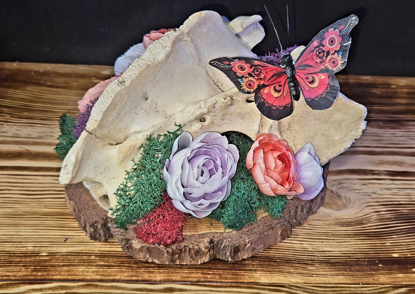 Large Bone Art - Red Butterfly | Handmade Oddity Wall Art Gothic Decor