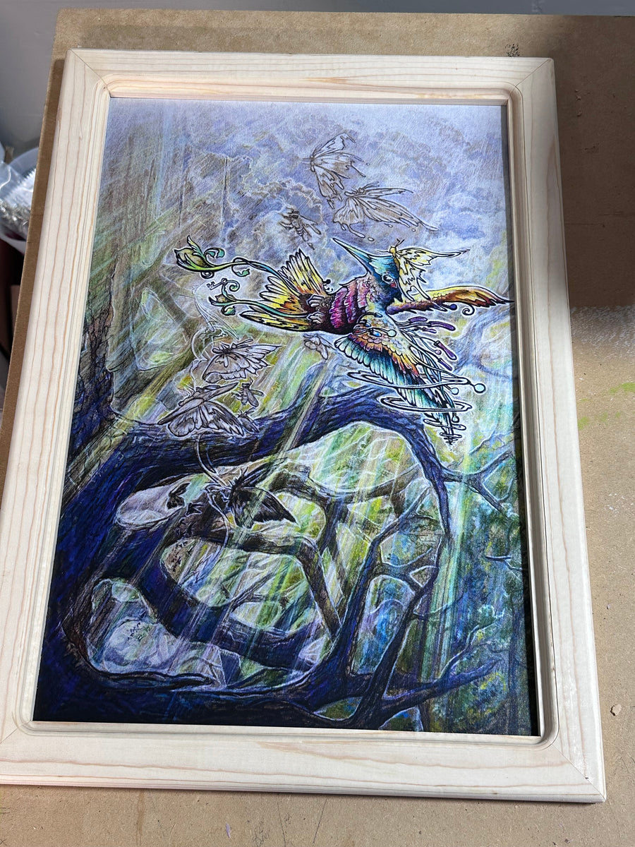 Picture frames