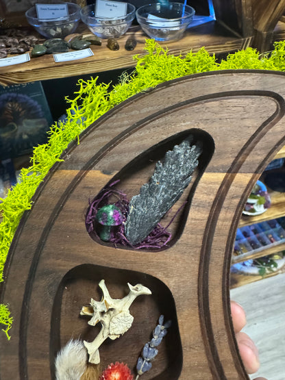 Crescent Moon Shaped Wall Shelf - Handmade Walnut Wood Curio Display for Crystals & Oddities