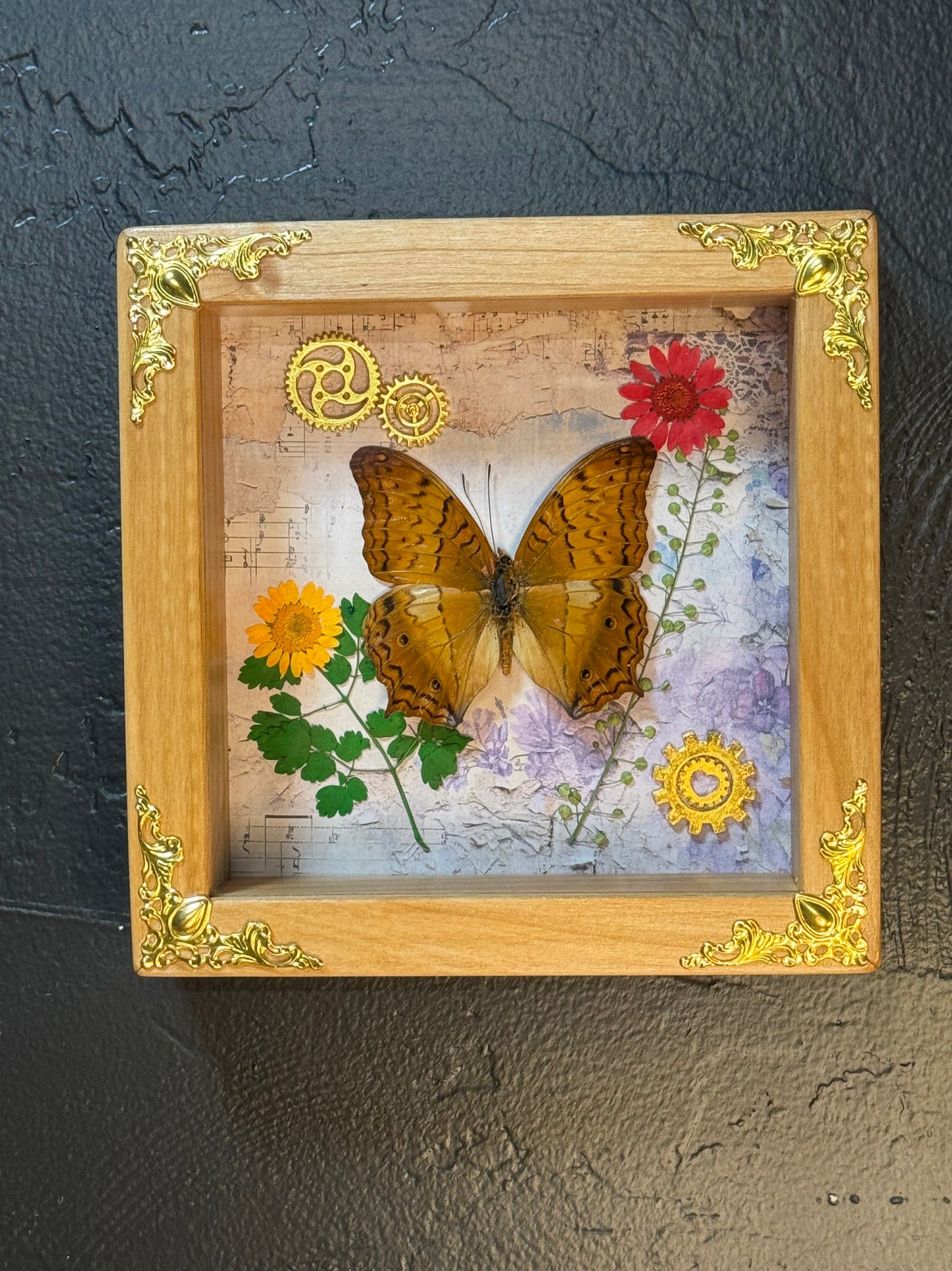 Butterfly Shadow Box - Real Preserved Specimens in Handmade Cherry Wood Frame