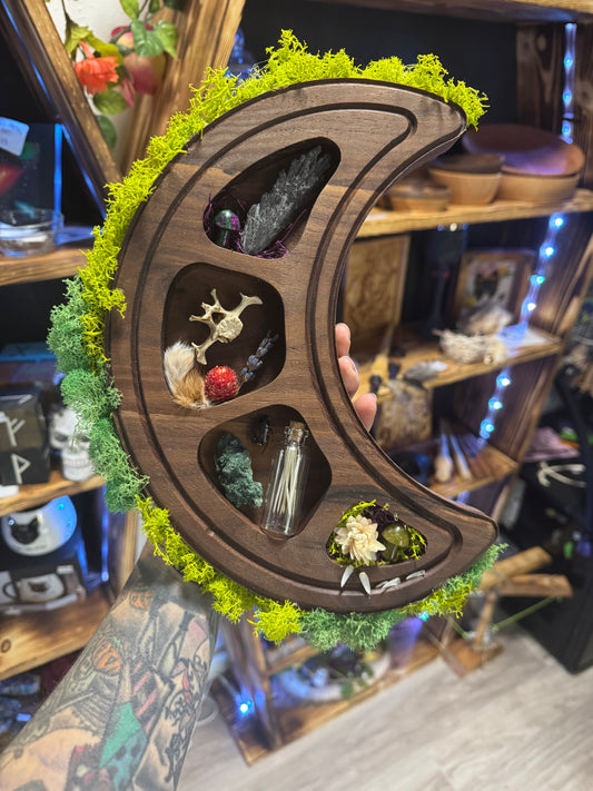 Crescent Moon Shaped Wall Shelf - Handmade Walnut Wood Curio Display for Crystals & Oddities