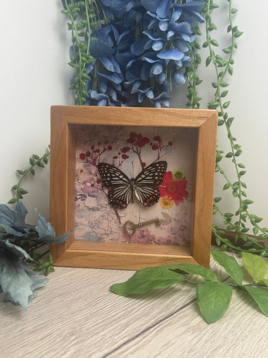 Butterfly Shadow Box