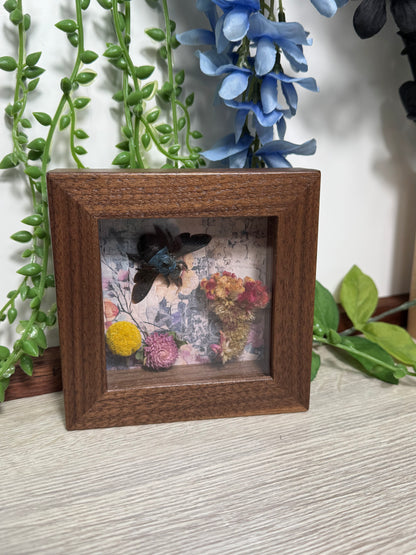 Carpenter Bee shadowbox with preserved flowers mini-framed oddity