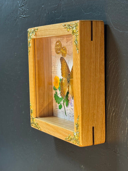 Butterfly Shadow Box - Real Preserved Specimens in Handmade Cherry Wood Frame