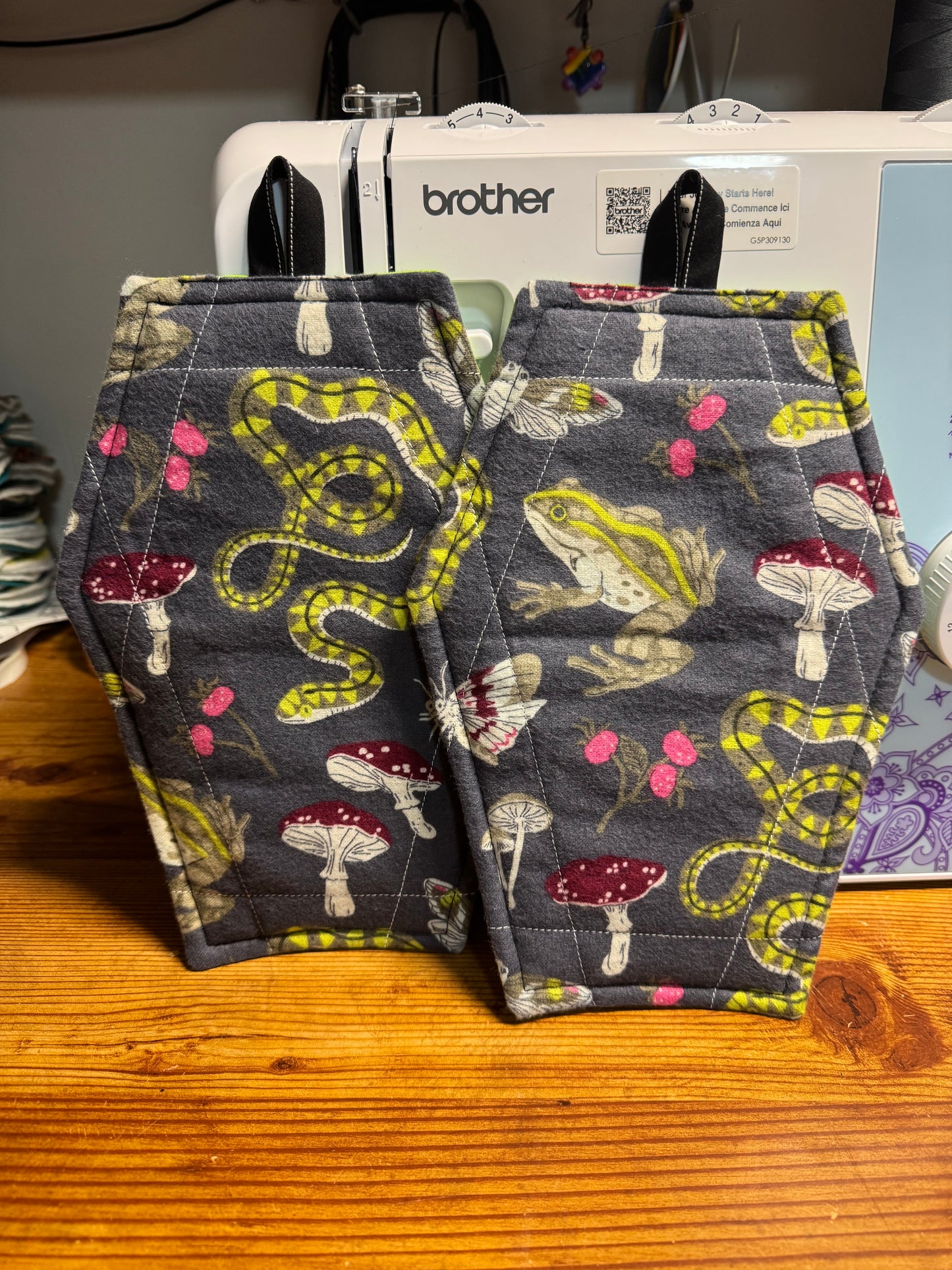 Coffin shaped potholder- frogs n snakes