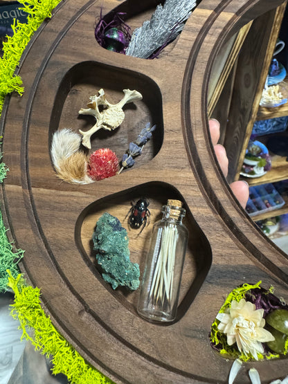 Crescent Moon Shaped Wall Shelf - Handmade Walnut Wood Curio Display for Crystals & Oddities