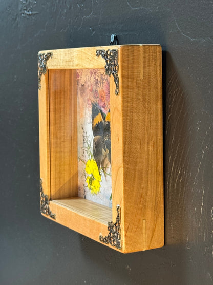 Butterfly Shadow Box - Real Preserved Specimens in Handmade Cherry Wood Frame
