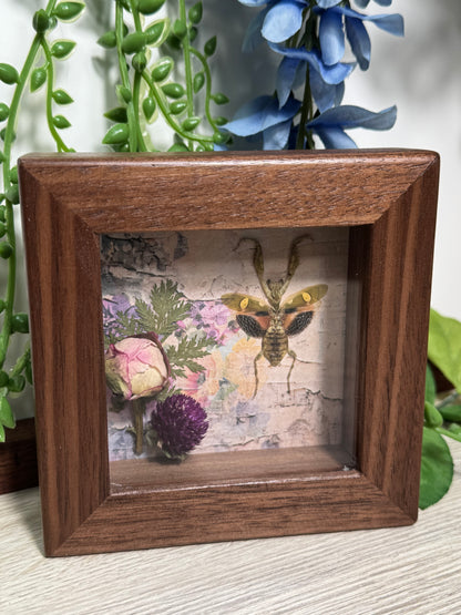 Mantis shadowbox with preserved flowers mini-framed oddity