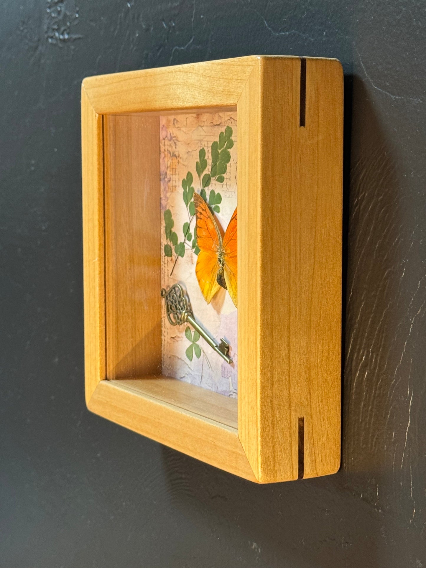 Butterfly Shadow Box - Real Preserved Specimens in Handmade Cherry Wood Frame