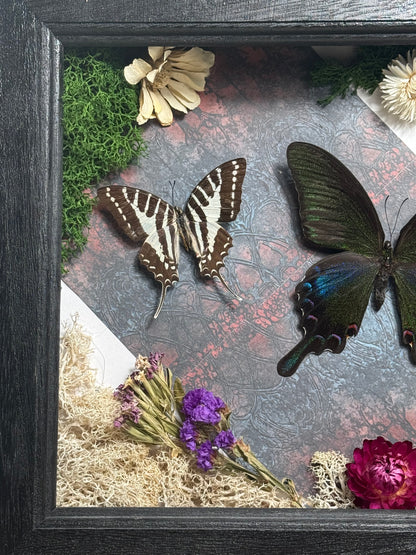 Butterfly Garden Display - Preserved Specimens | Nature Art Oddity Collection