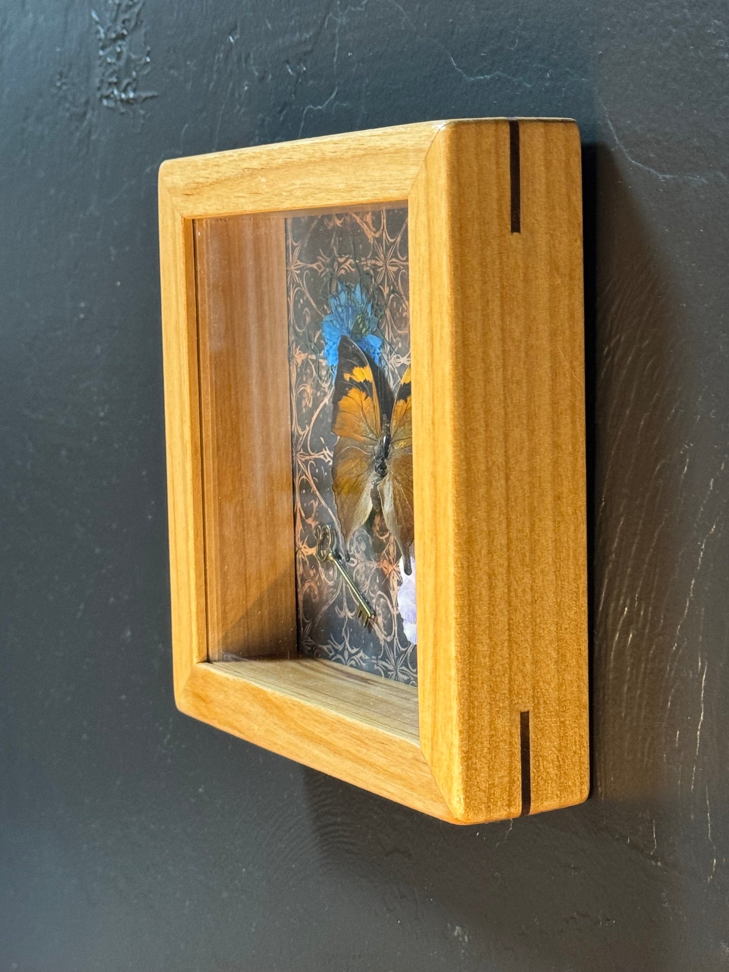 Butterfly Shadow Box - Real Preserved Specimens in Handmade Cherry Wood Frame