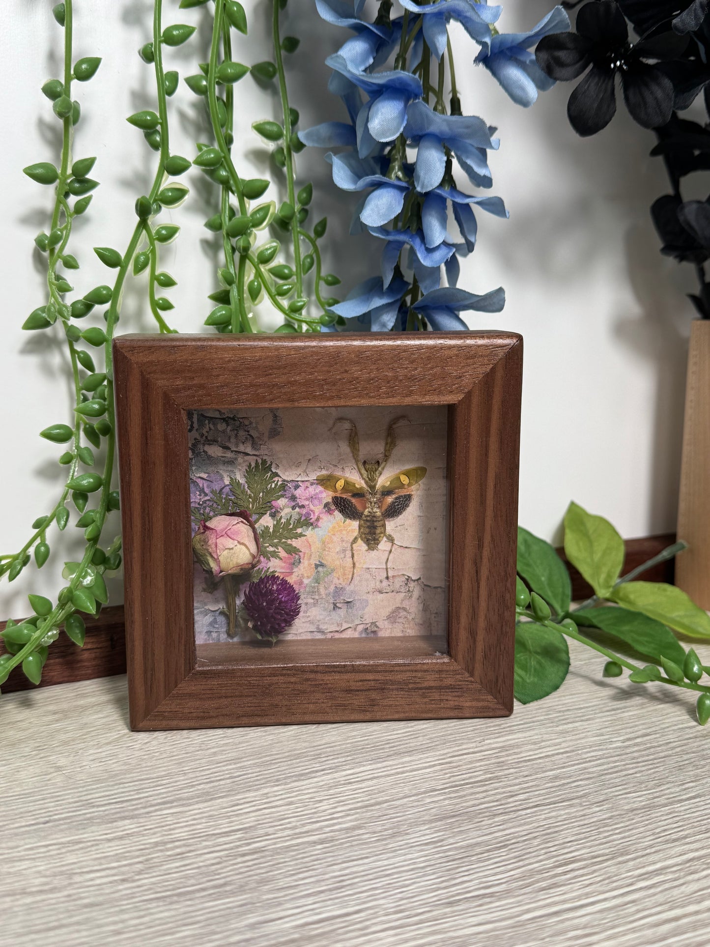Mantis shadowbox with preserved flowers mini-framed oddity