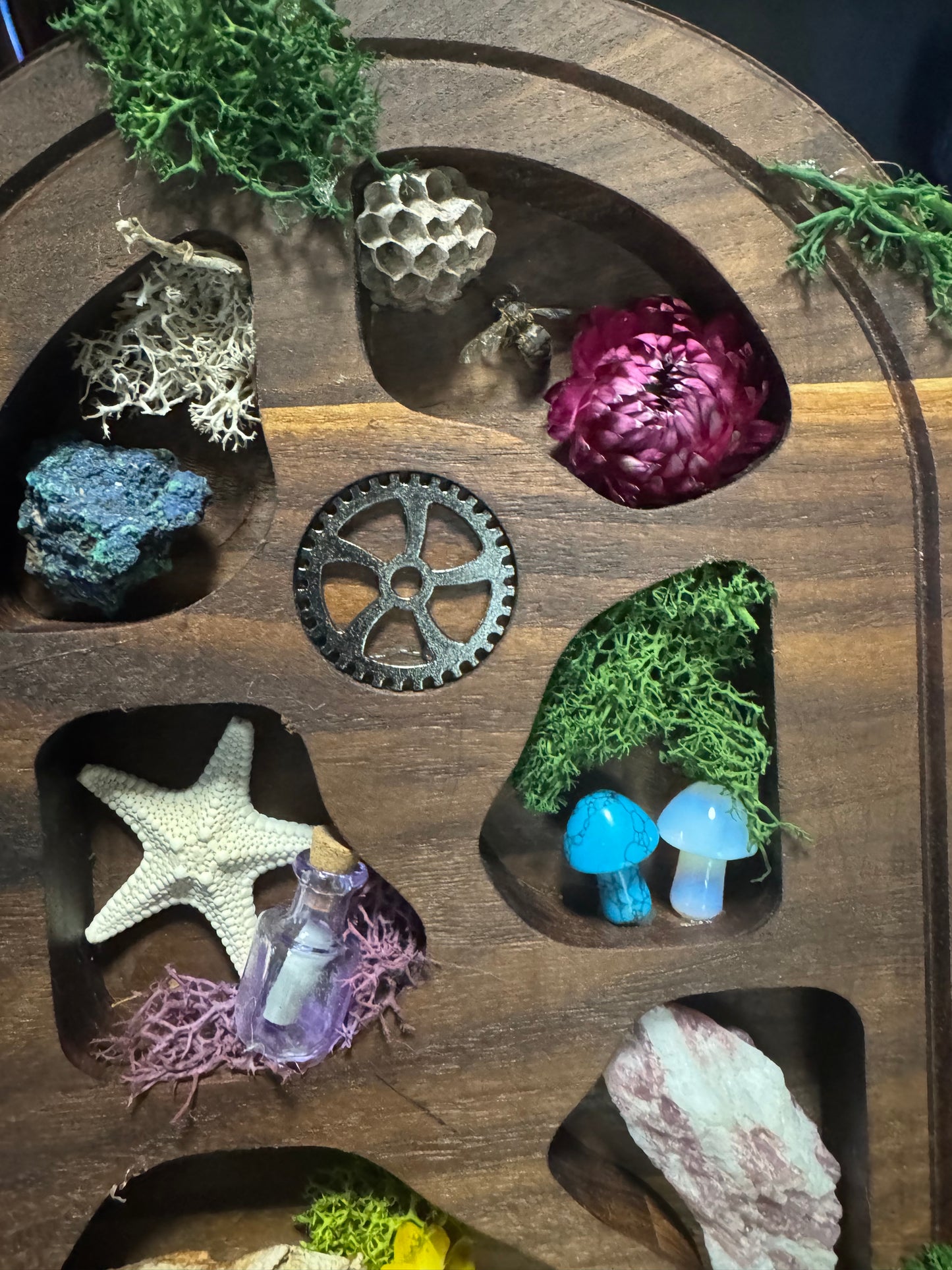 Tombstone Shaped Wall Shelf - Handmade Walnut Wood Curio Display | Gothic Cemetery Decor