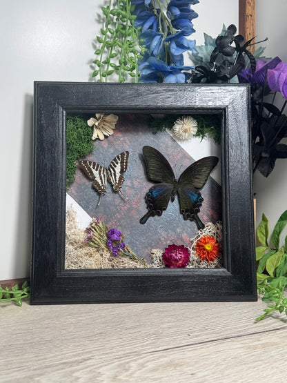 Butterfly Garden Display - Preserved Specimens | Nature Art Oddity Collection