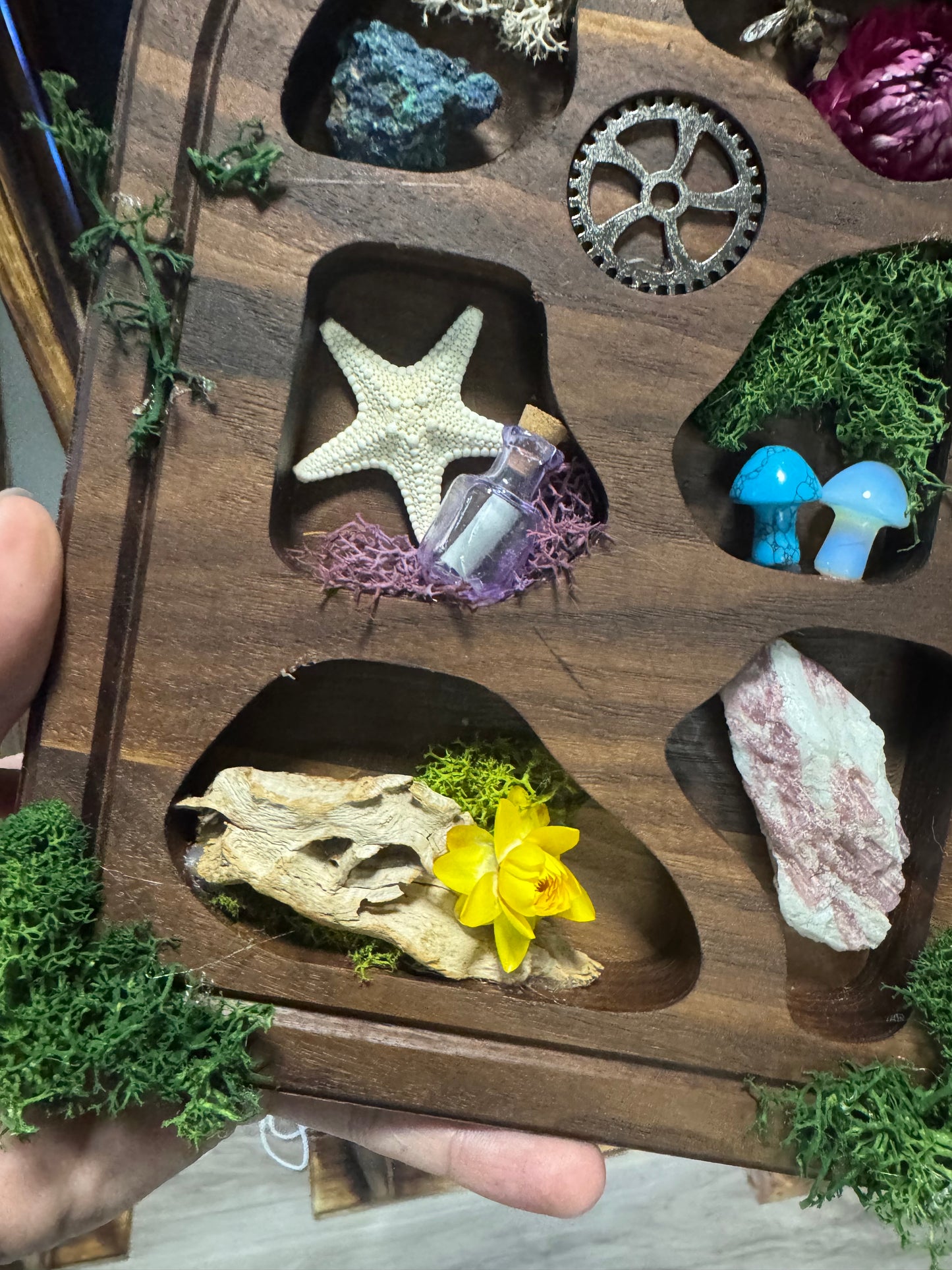 Tombstone Shaped Wall Shelf - Handmade Walnut Wood Curio Display | Gothic Cemetery Decor