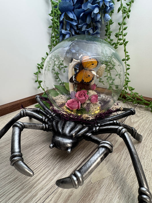 Spider Globe Butterfly Terrarium