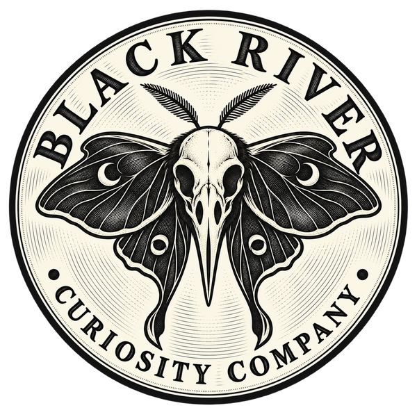 Black River Curiosity Company