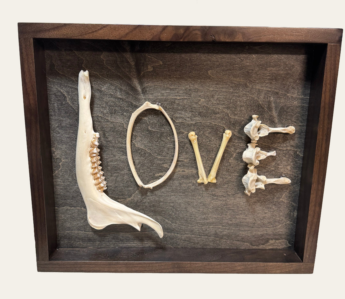 Real bones arranged to spell LOVE inside a solid walnut frame.