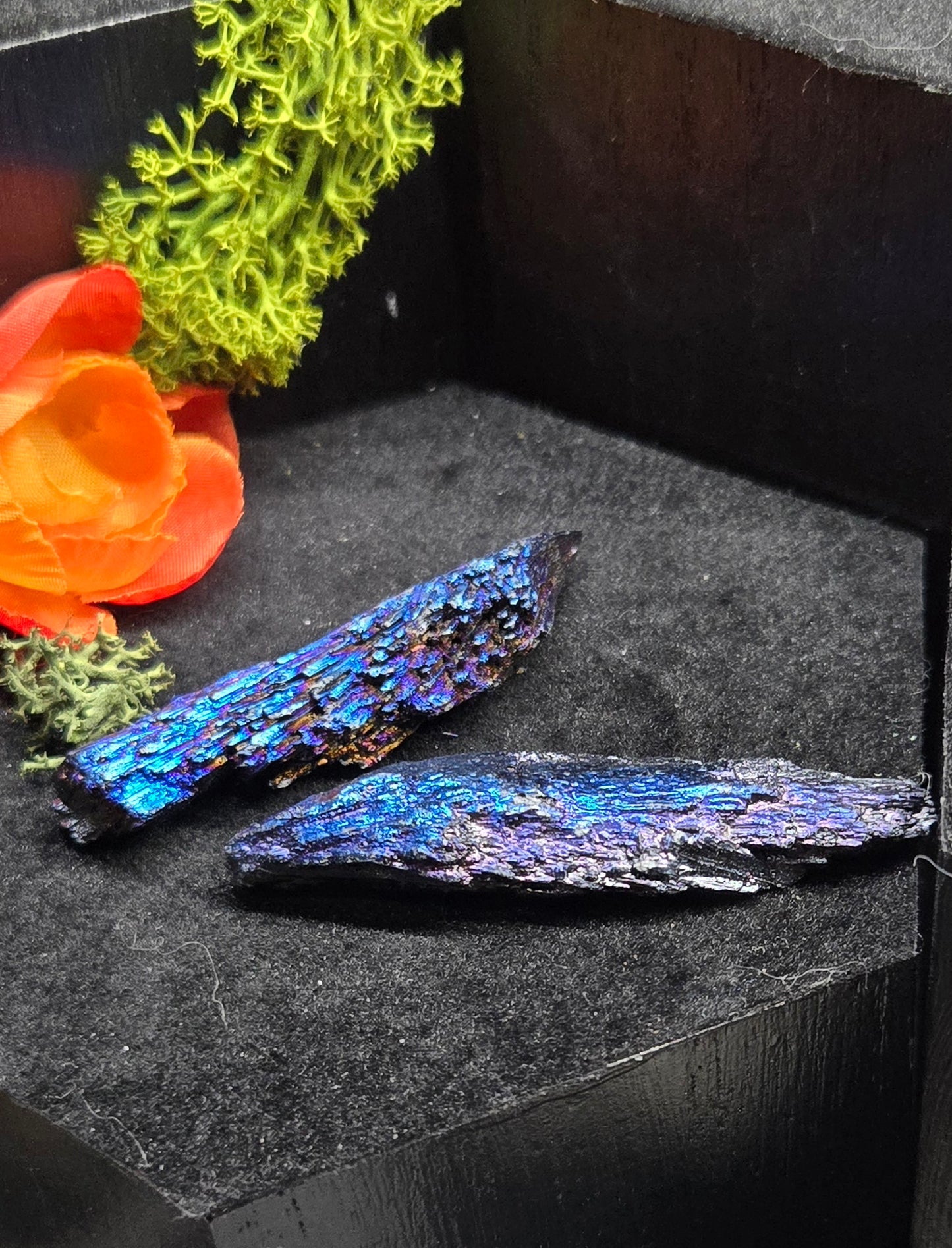 Rainbow titanium kyanite - Oddity Shelf and Gift Box Find - Oddity Shelf and Gift Box Find