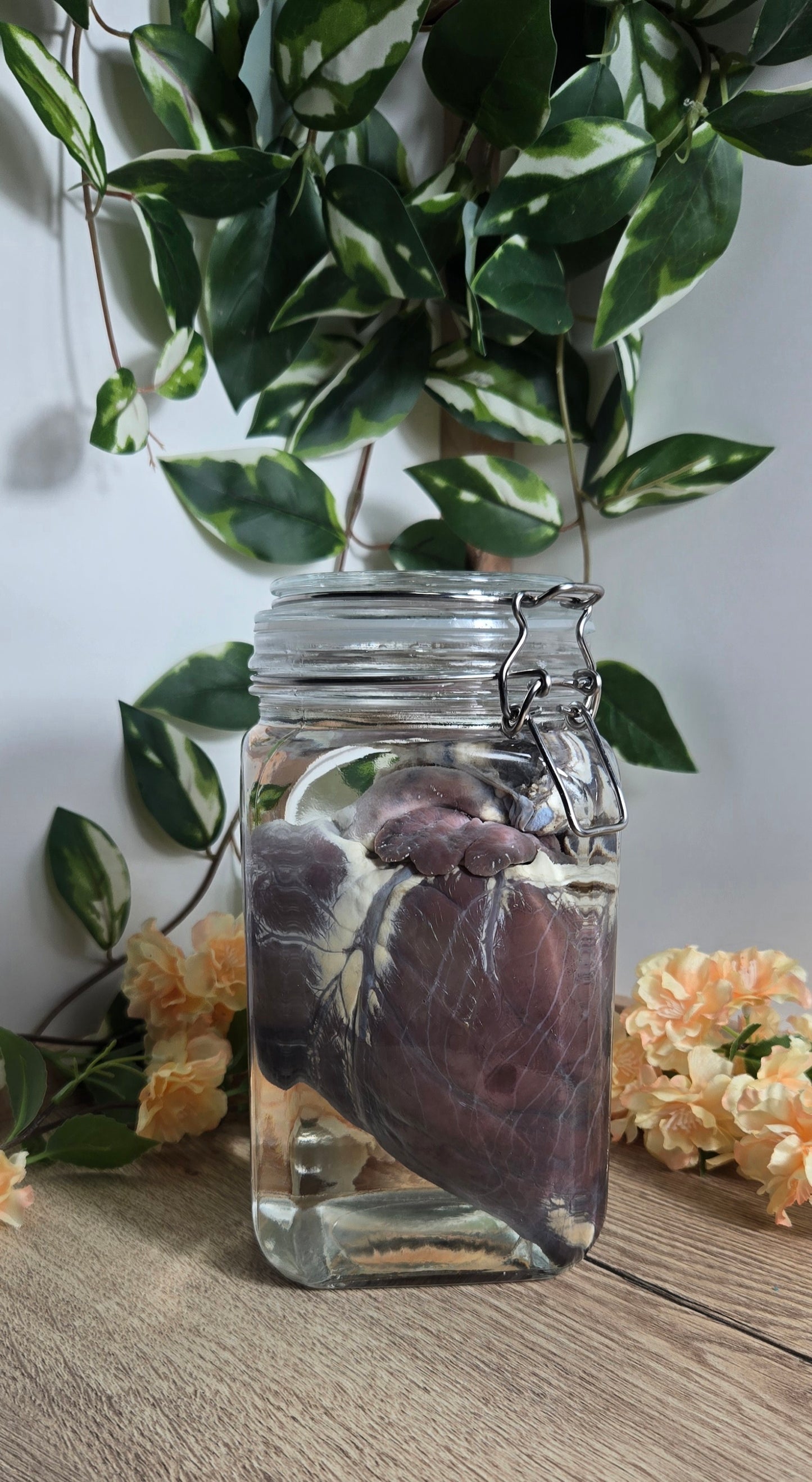 White tail deer heart WS20