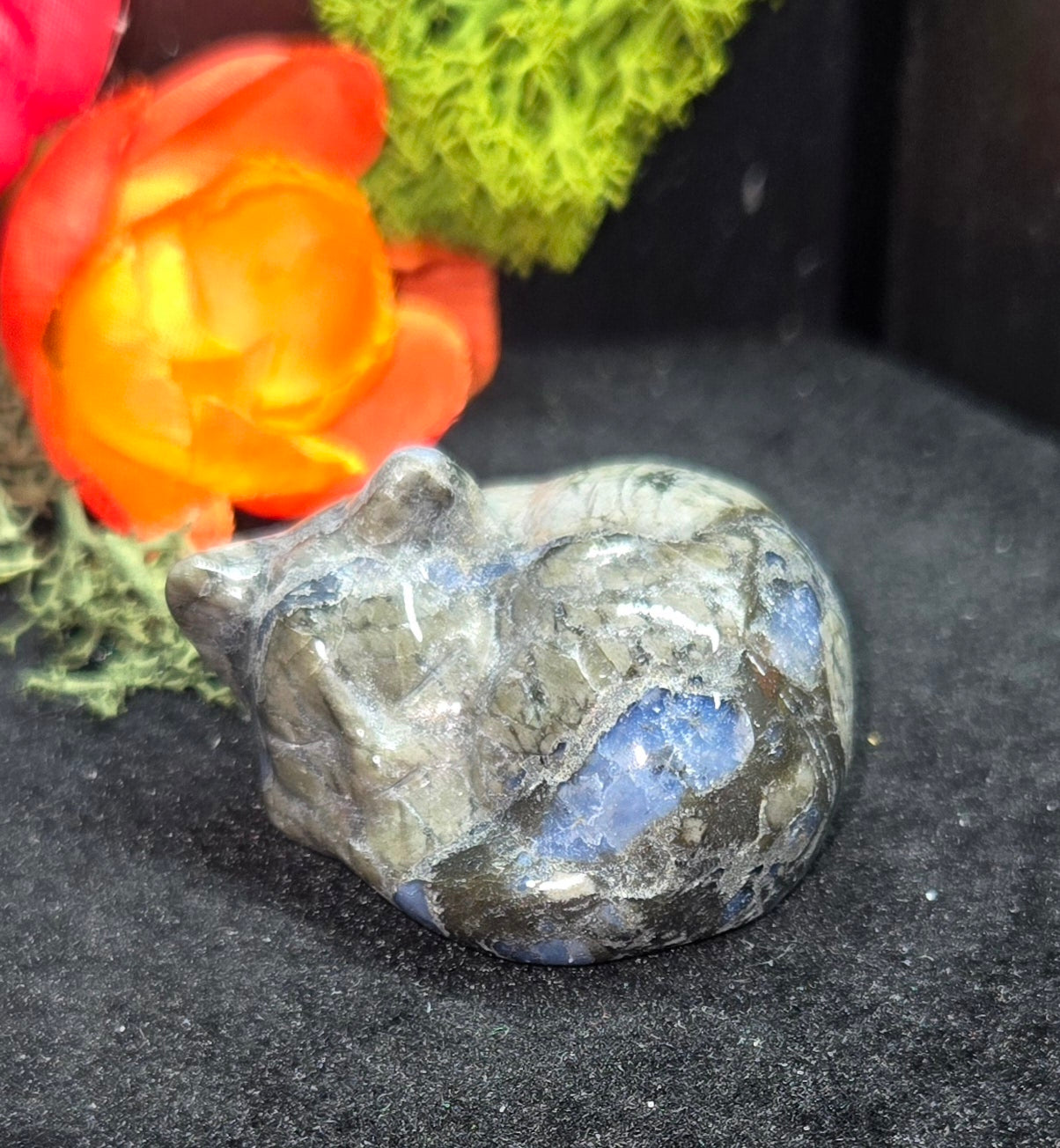 Cat Carved Crystals - Natural Stone Animal Carvings | Unique Crystal Figurines