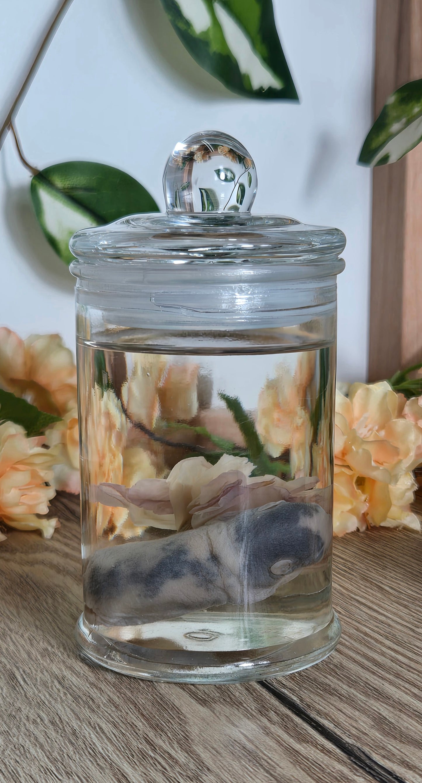 Baby rat with carnation