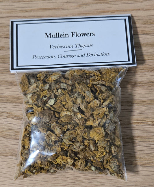 Mullein Flowers