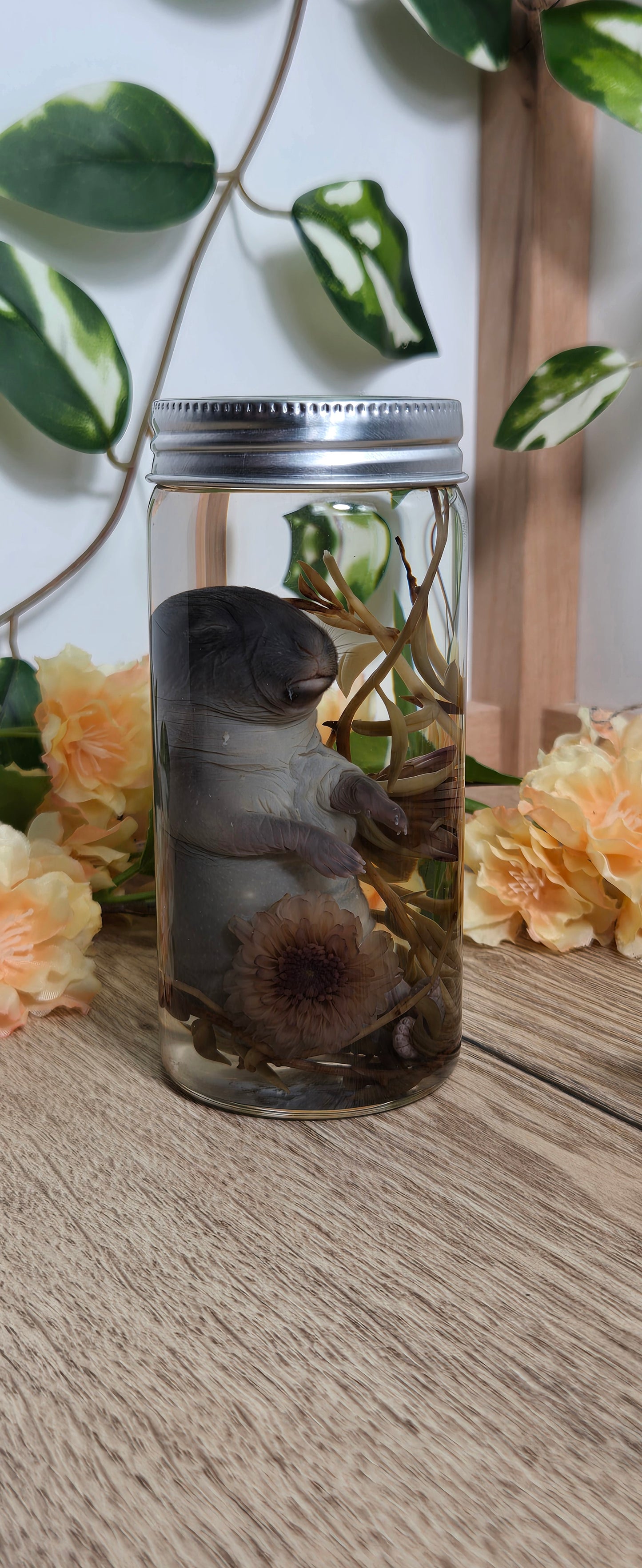 Baby bunny wet specimen