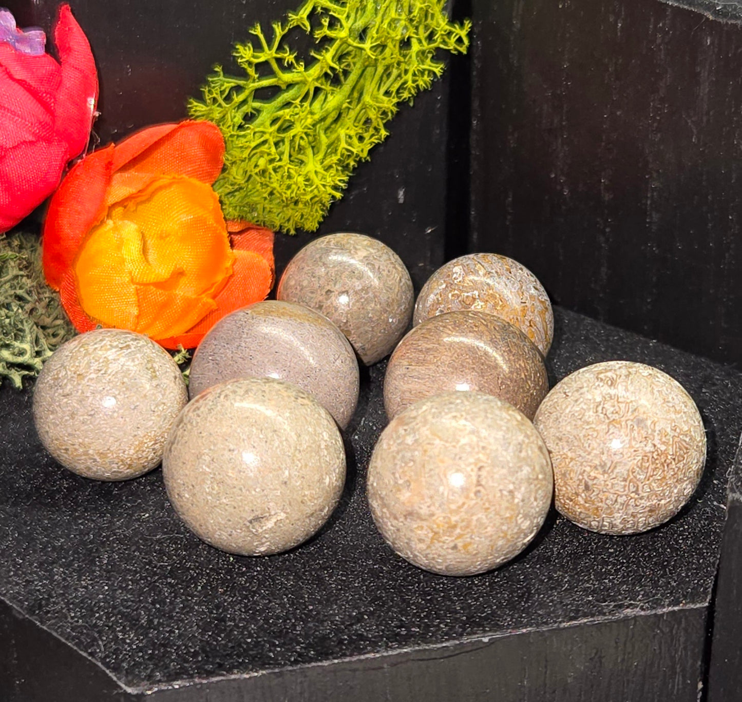 Dinosaur Bone mini spheres