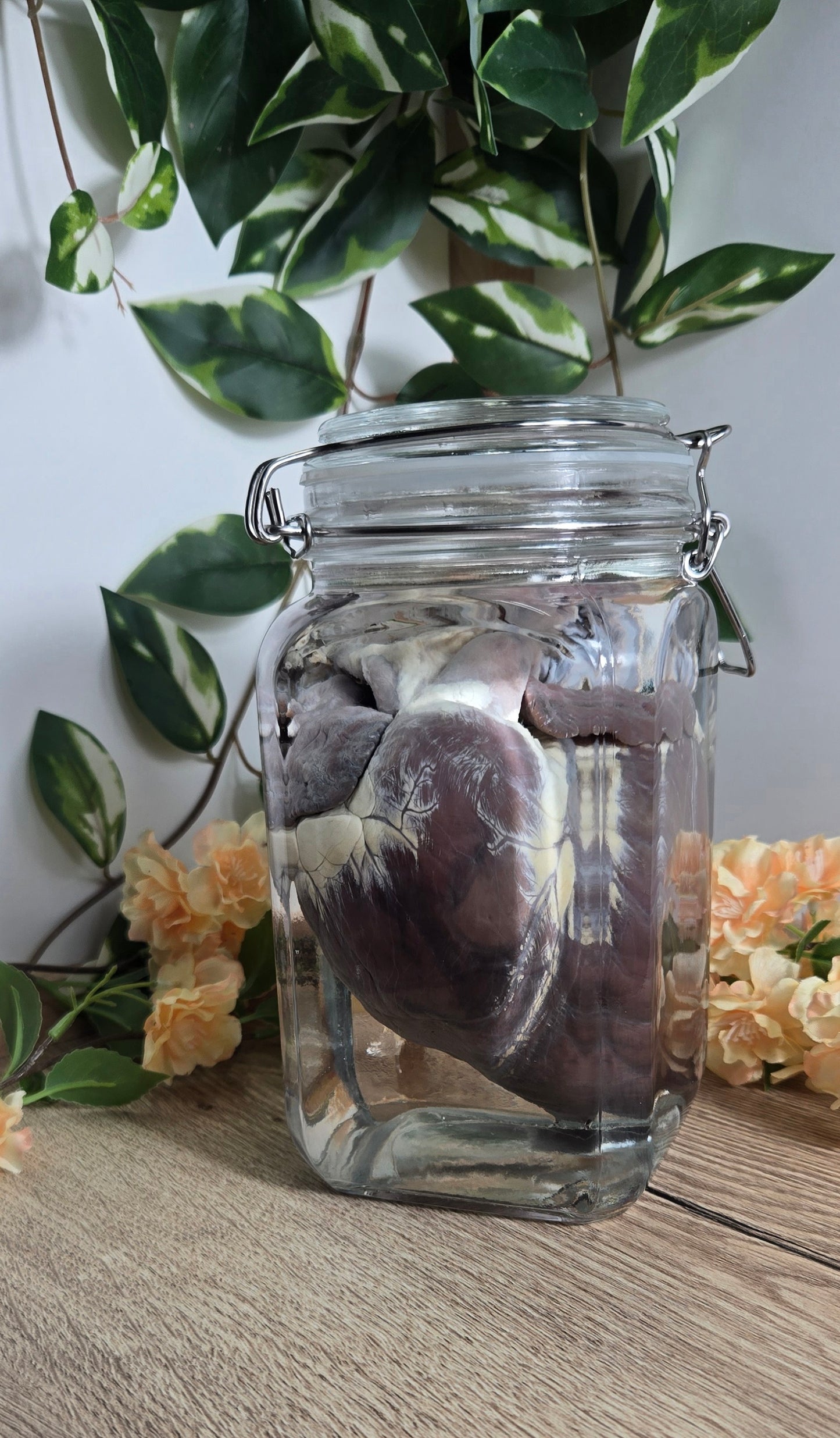 White tail deer heart WS20