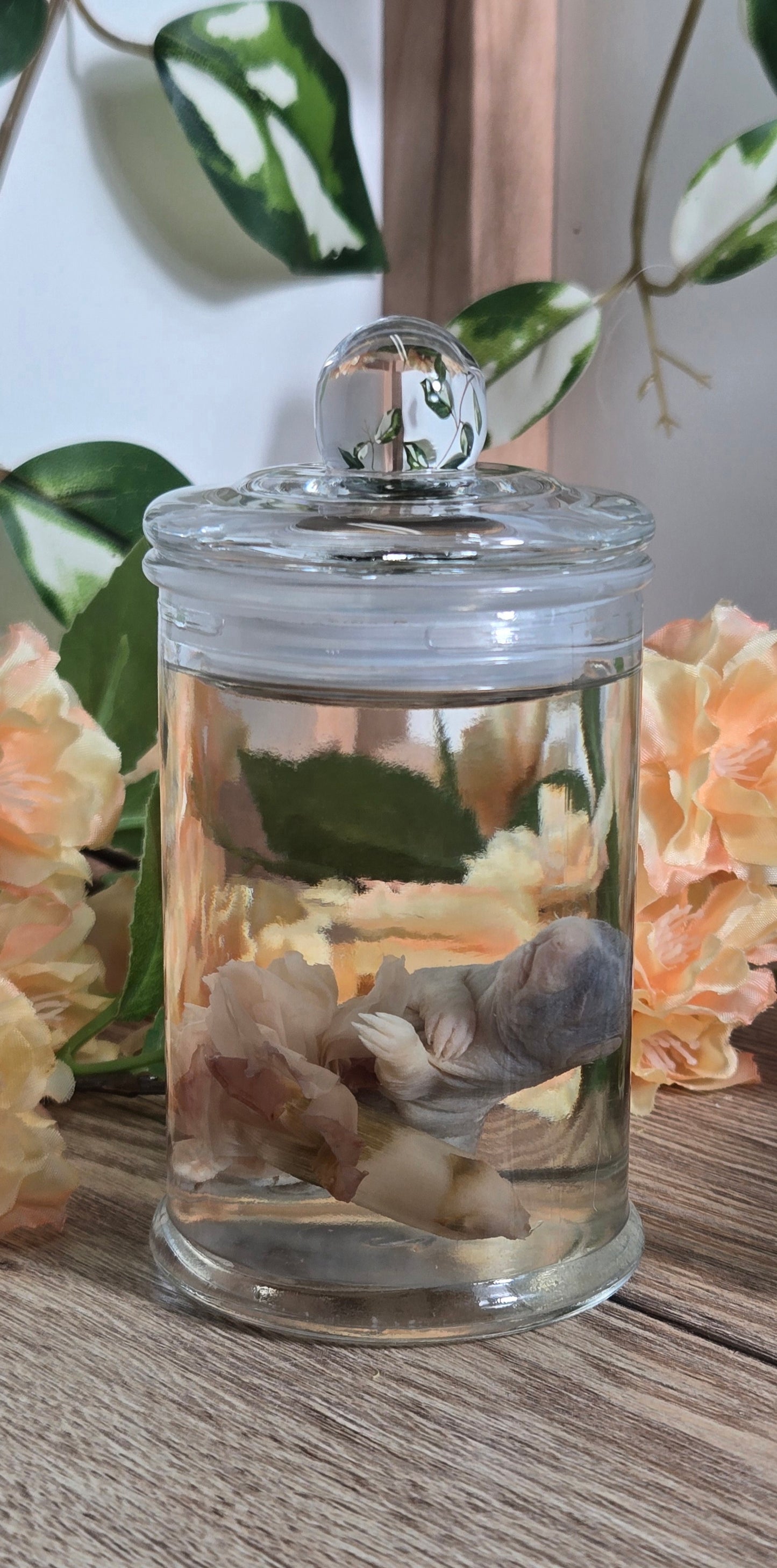 Baby rat with carnation WS15