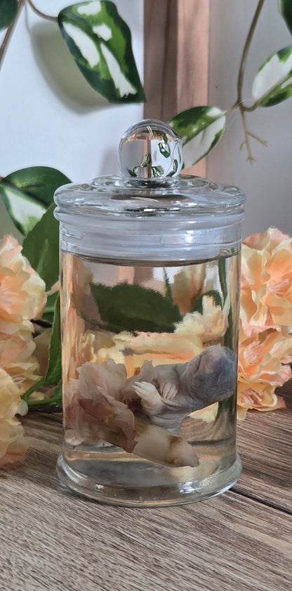 Baby rat with carnation WS15