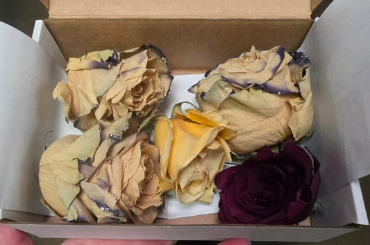 Dried Roses Craft Lot