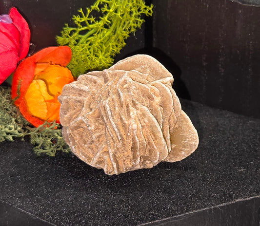 Desert Rose Crystal - Natural Selenite Formation | Grounding & Clarity Stone
