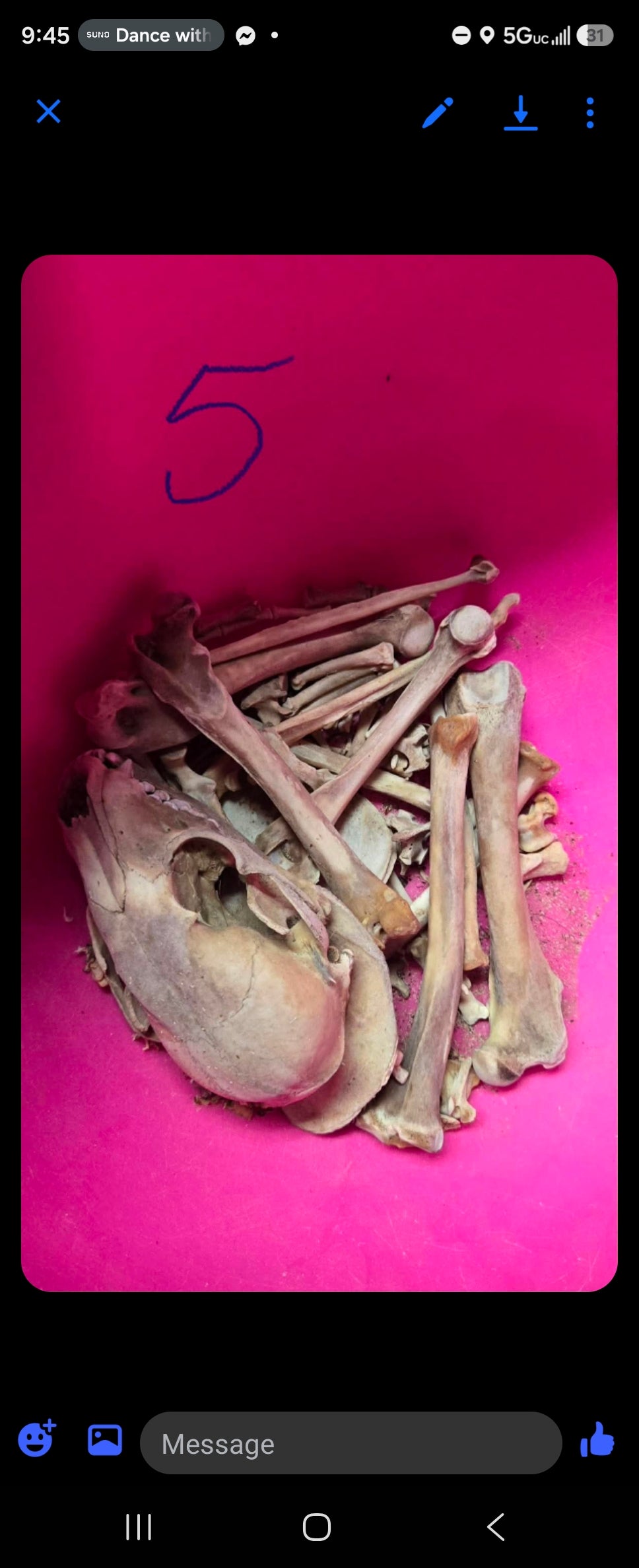 Bone lot