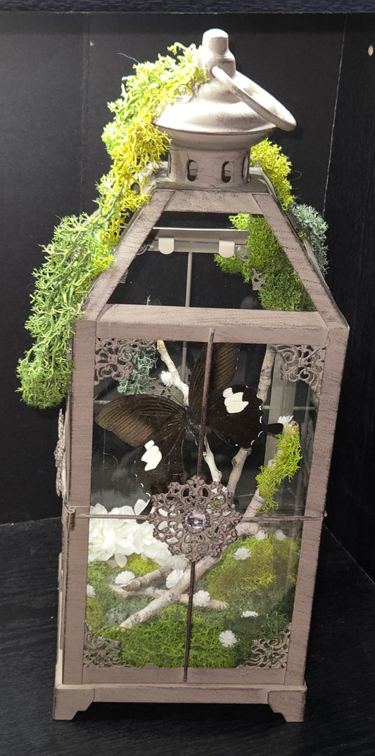 Large Black Butterfly Lantern - Gothic Decor | Unique Oddity Display Piece