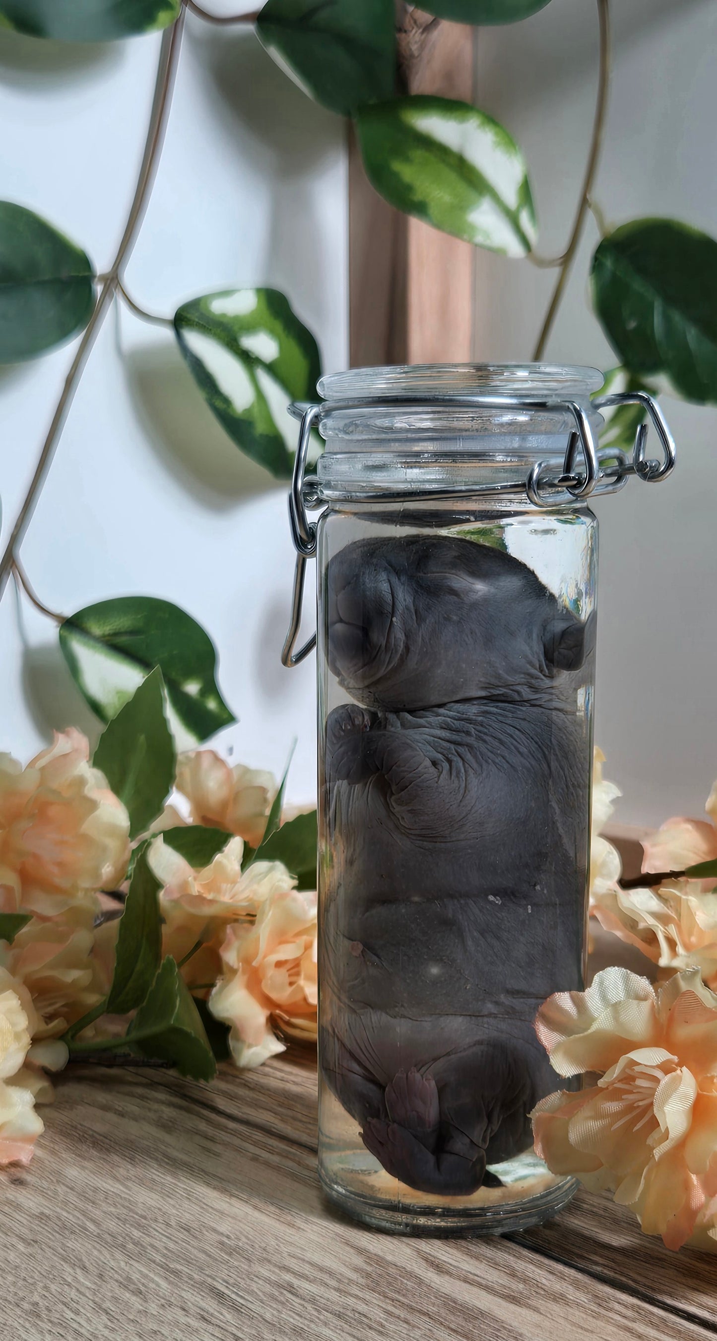 Bunny kit WS10